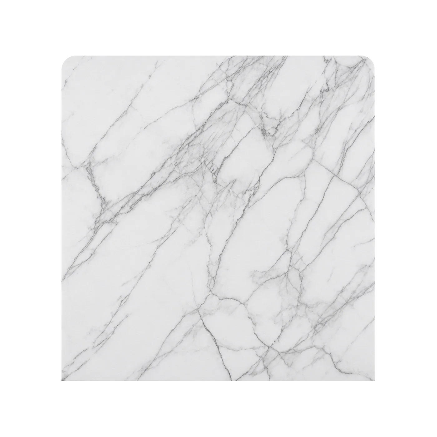 White Marble backdrop