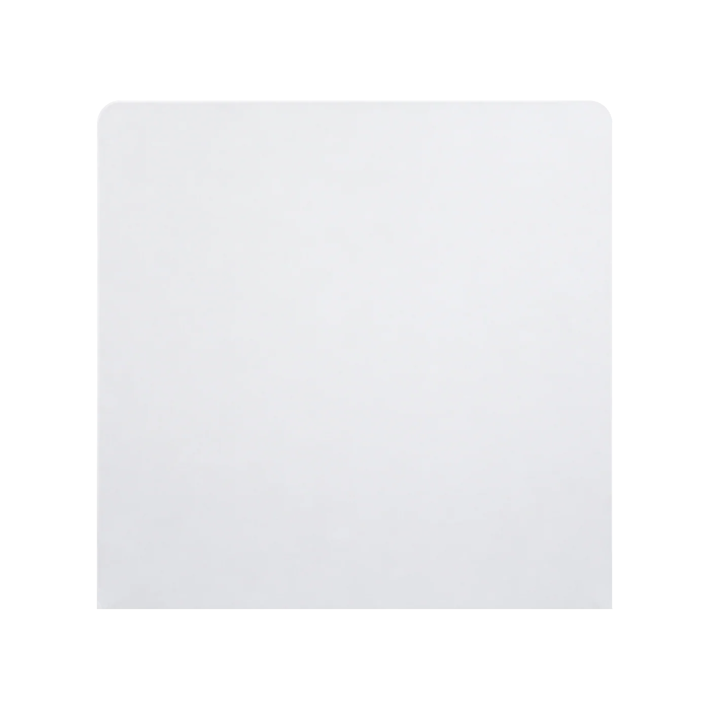 WHITE backdrop